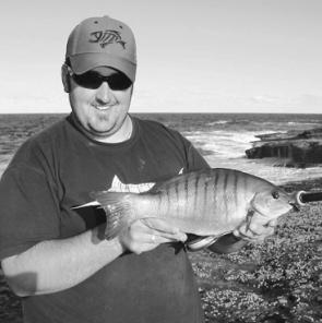 Scott Sharpe with a better than average blackfish from the Currarong rocks.